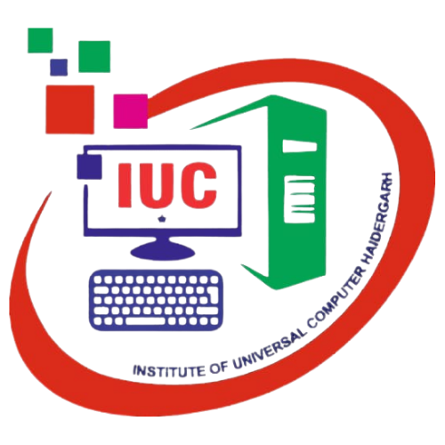 Institute of Universal computer